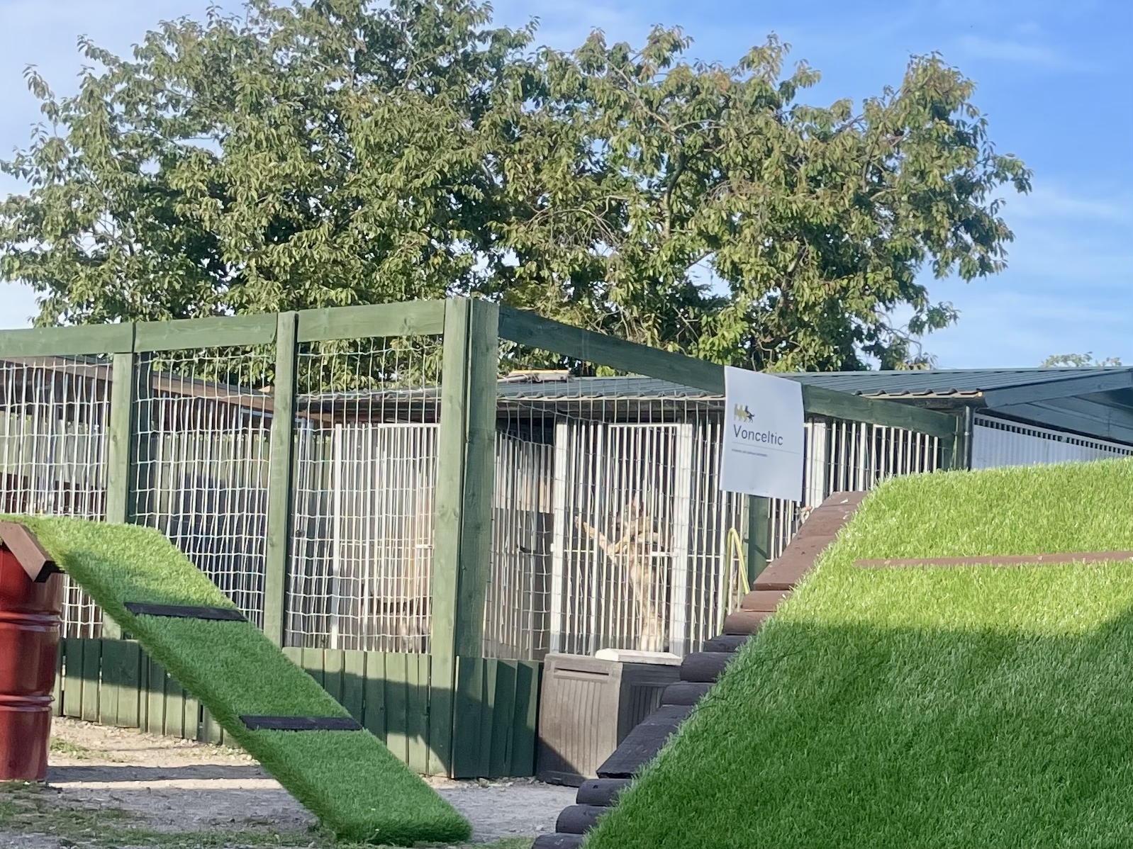 Vonceltic Security, Kennel Club registered German Shepherd kennels